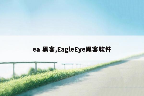 ea 黑客,EagleEye黑客软件