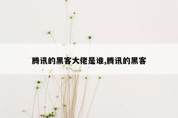 腾讯的黑客大佬是谁,腾讯的黑客