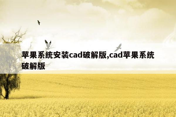 苹果系统安装cad破解版,cad苹果系统破解版