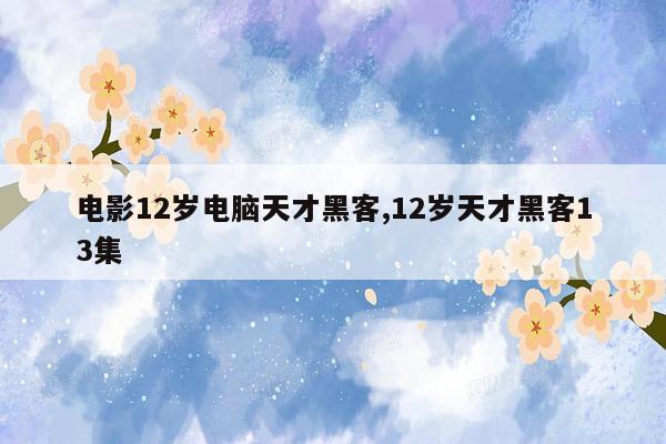 电影12岁电脑天才黑客,12岁天才黑客13集