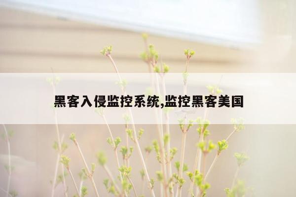 黑客入侵监控系统,监控黑客美国