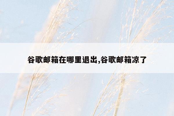 谷歌邮箱在哪里退出,谷歌邮箱凉了