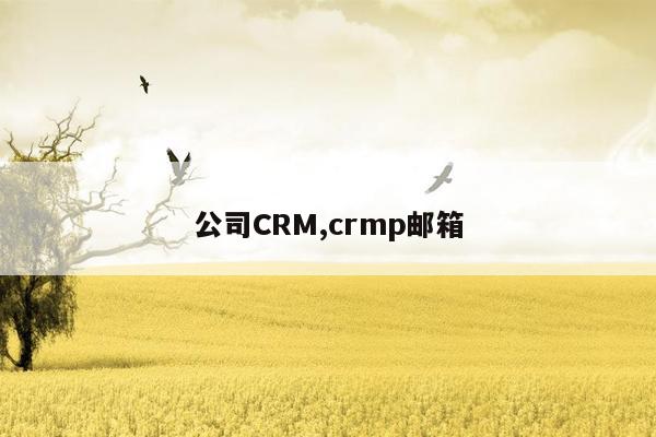 公司CRM,crmp邮箱