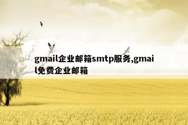 gmail企业邮箱smtp服务,gmail免费企业邮箱