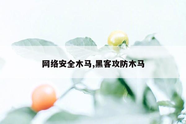 网络安全木马,黑客攻防木马