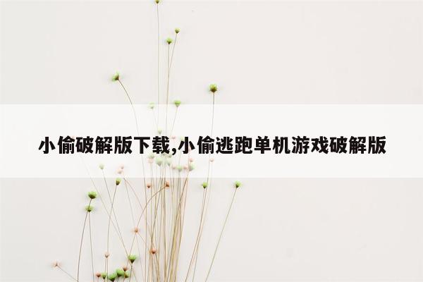 小偷破解版下载,小偷逃跑单机游戏破解版