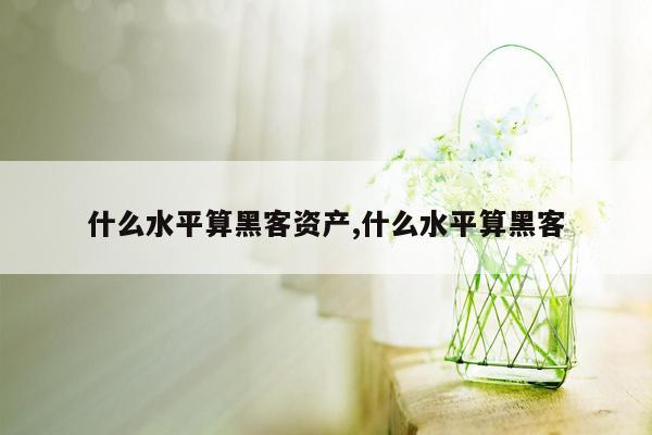 什么水平算黑客资产,什么水平算黑客