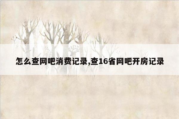 怎么查网吧消费记录,查16省网吧开房记录