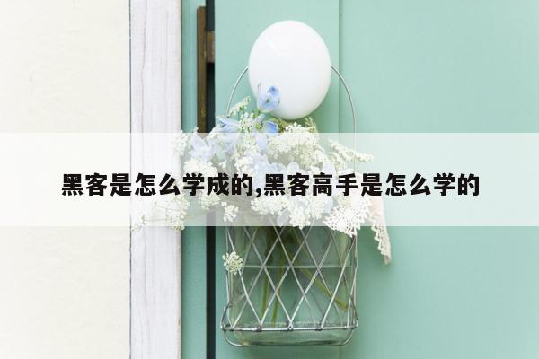 黑客是怎么学成的,黑客高手是怎么学的