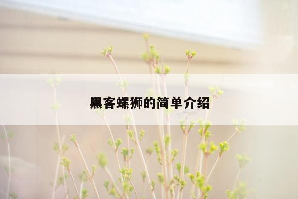 黑客螺狮的简单介绍