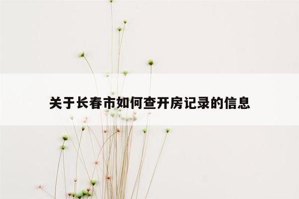 关于长春市如何查开房记录的信息