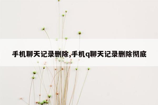 手机聊天记录删除,手机q聊天记录删除彻底