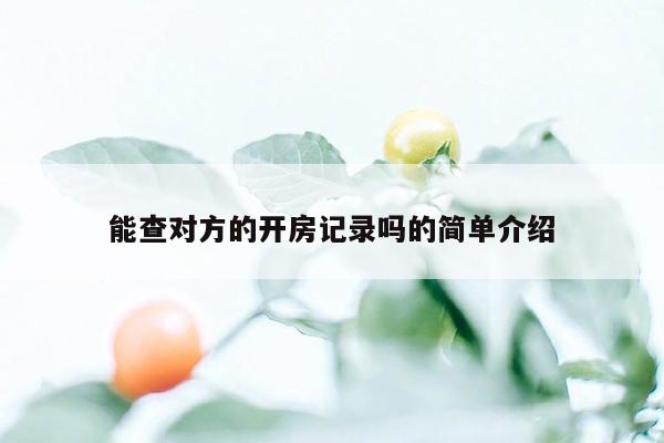 能查对方的开房记录吗的简单介绍