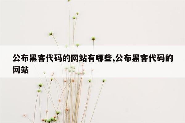 公布黑客代码的网站有哪些,公布黑客代码的网站