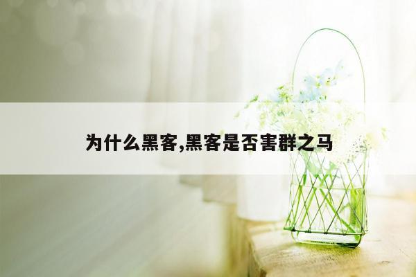 为什么黑客,黑客是否害群之马