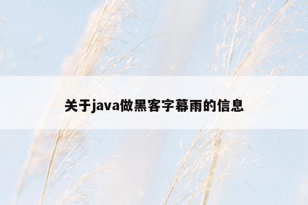 关于java做黑客字幕雨的信息