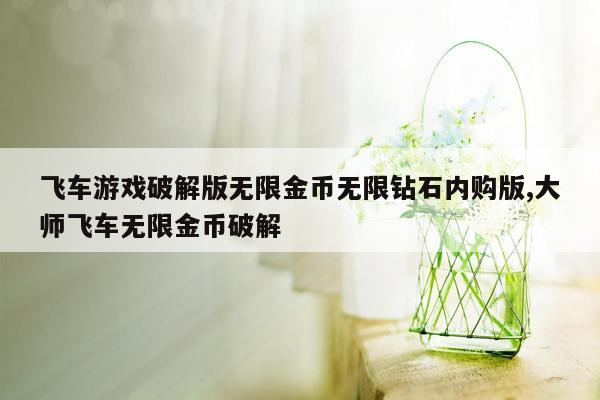 飞车游戏破解版无限金币无限钻石内购版,大师飞车无限金币破解