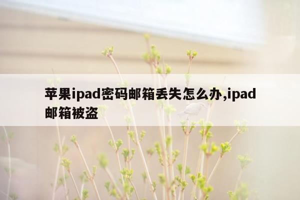 苹果ipad密码邮箱丢失怎么办,ipad邮箱被盗