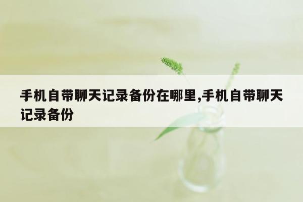 手机自带聊天记录备份在哪里,手机自带聊天记录备份