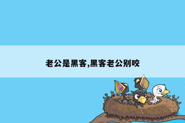 老公是黑客,黑客老公别咬