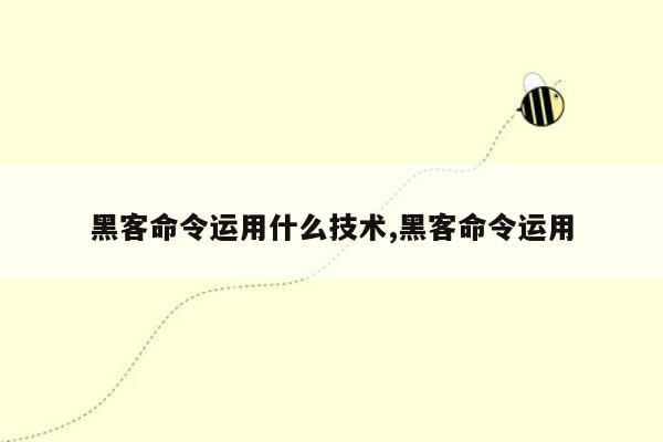 黑客命令运用什么技术,黑客命令运用