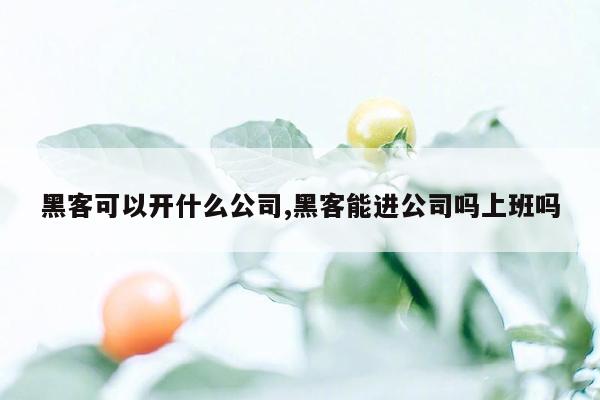 黑客可以开什么公司,黑客能进公司吗上班吗