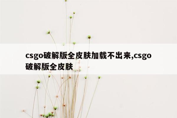 csgo破解版全皮肤加载不出来,csgo破解版全皮肤