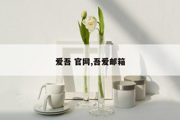 爱吾 官网,吾爱邮箱