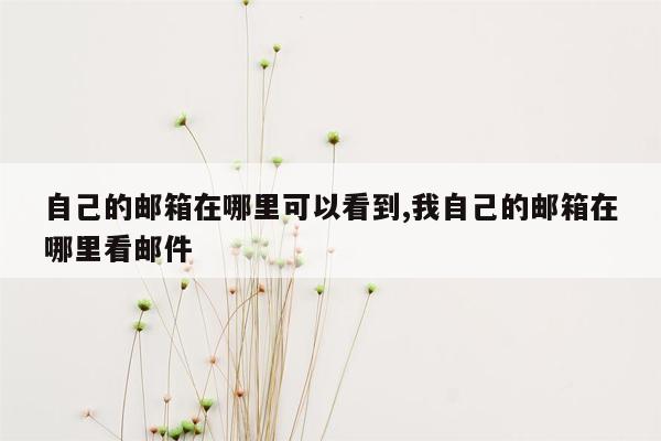 自己的邮箱在哪里可以看到,我自己的邮箱在哪里看邮件