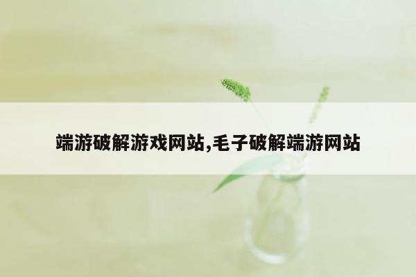 端游破解游戏网站,毛子破解端游网站