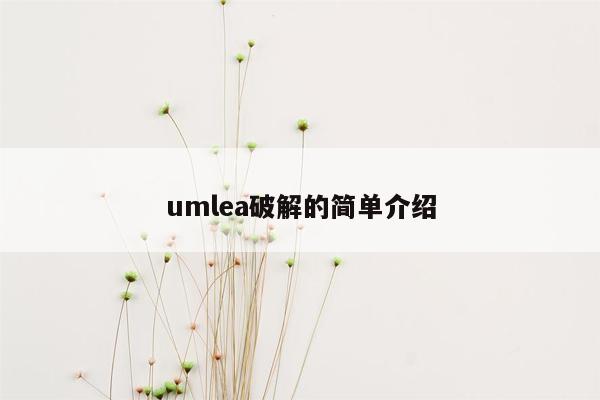 umlea破解的简单介绍