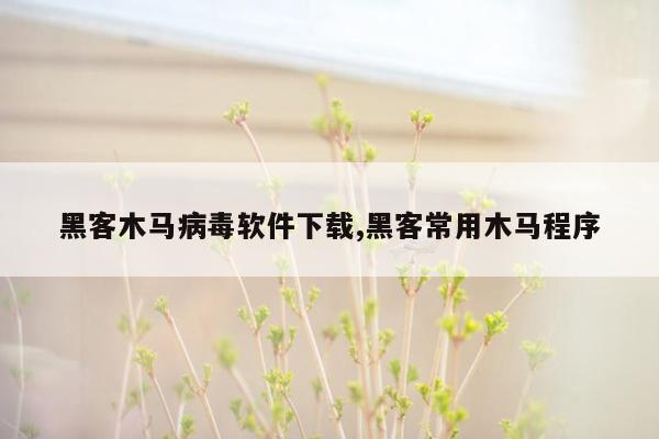 黑客木马病毒软件下载,黑客常用木马程序