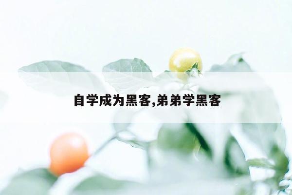 自学成为黑客,弟弟学黑客