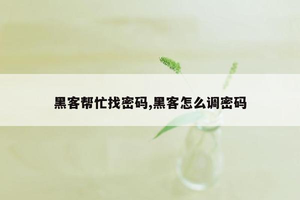 黑客帮忙找密码,黑客怎么调密码