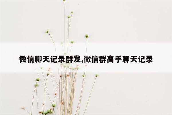 微信聊天记录群发,微信群高手聊天记录