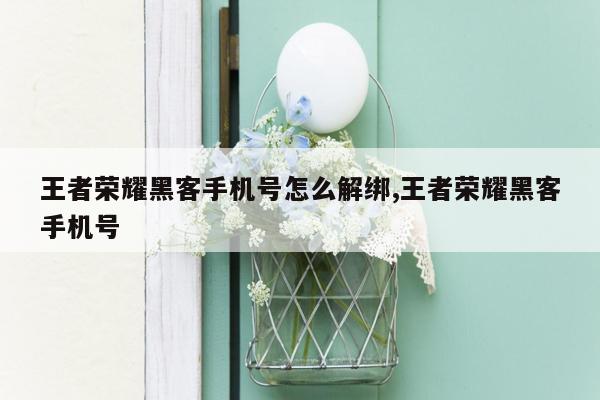 王者荣耀黑客手机号怎么解绑,王者荣耀黑客手机号