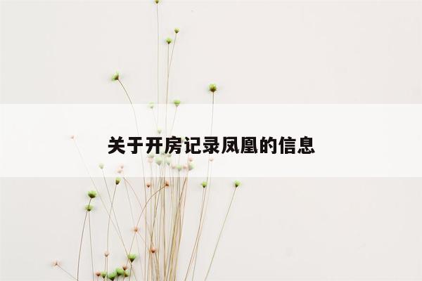 关于开房记录凤凰的信息