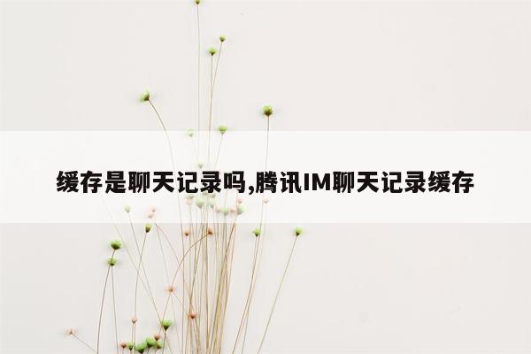 缓存是聊天记录吗,腾讯IM聊天记录缓存