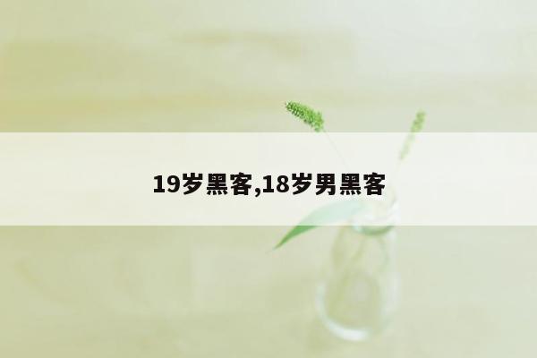 19岁黑客,18岁男黑客