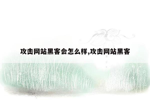 攻击网站黑客会怎么样,攻击网站黑客