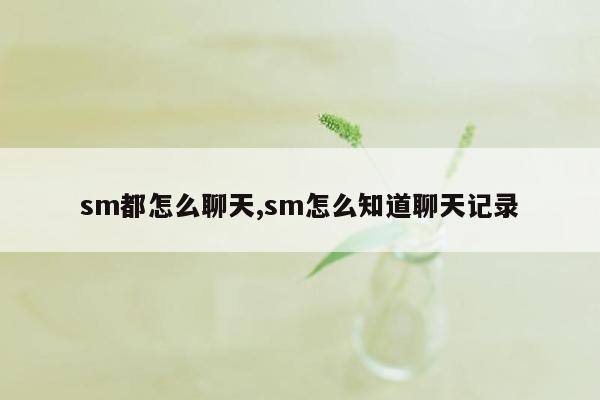 sm都怎么聊天,sm怎么知道聊天记录