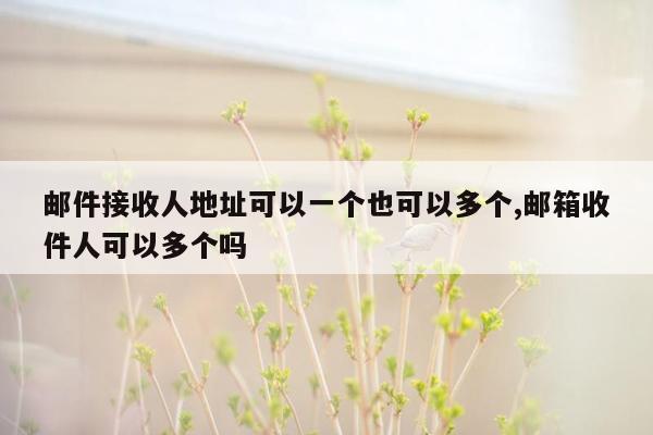 邮件接收人地址可以一个也可以多个,邮箱收件人可以多个吗