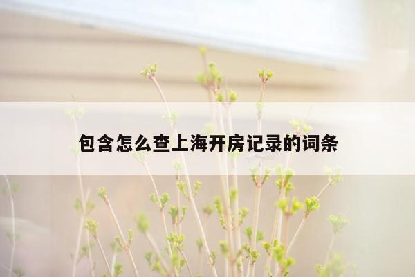 包含怎么查上海开房记录的词条