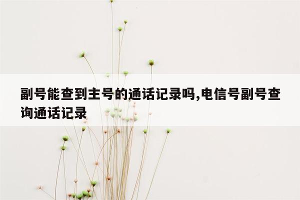 副号能查到主号的通话记录吗,电信号副号查询通话记录