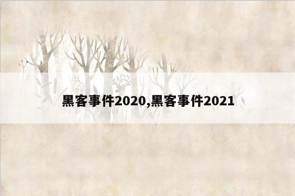 黑客事件2020,黑客事件2021