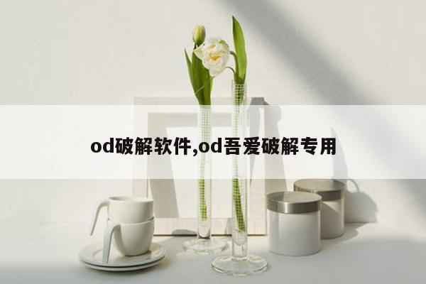 od破解软件,od吾爱破解专用