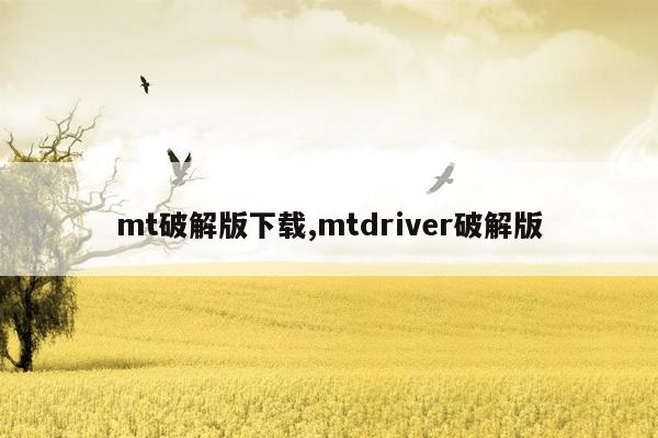 mt破解版下载,mtdriver破解版