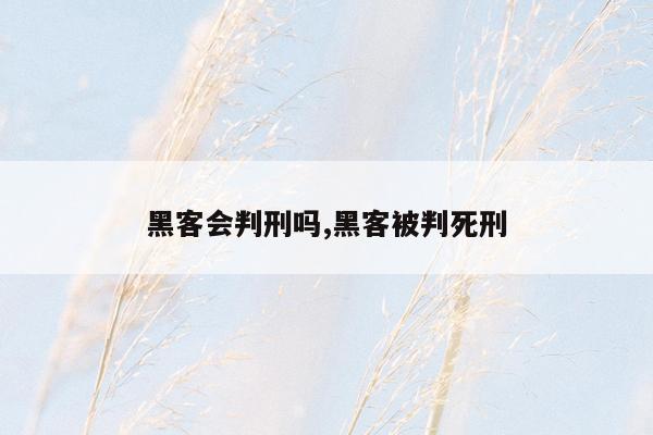 黑客会判刑吗,黑客被判死刑