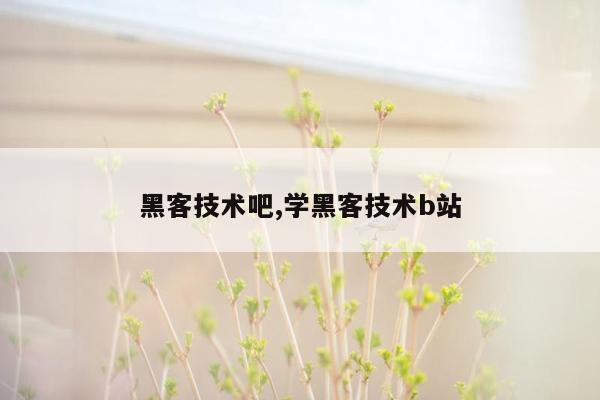 黑客技术吧,学黑客技术b站