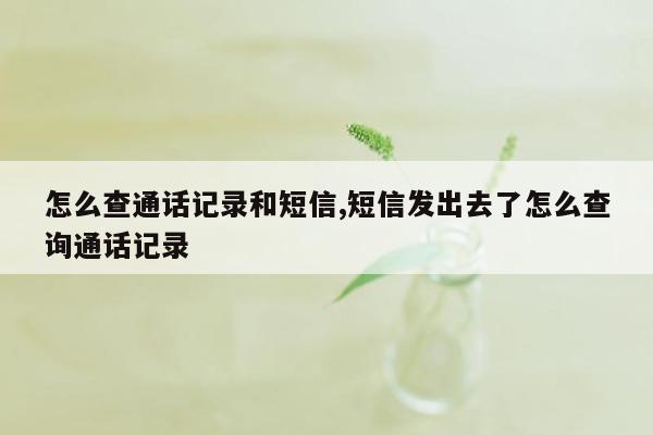 怎么查通话记录和短信,短信发出去了怎么查询通话记录